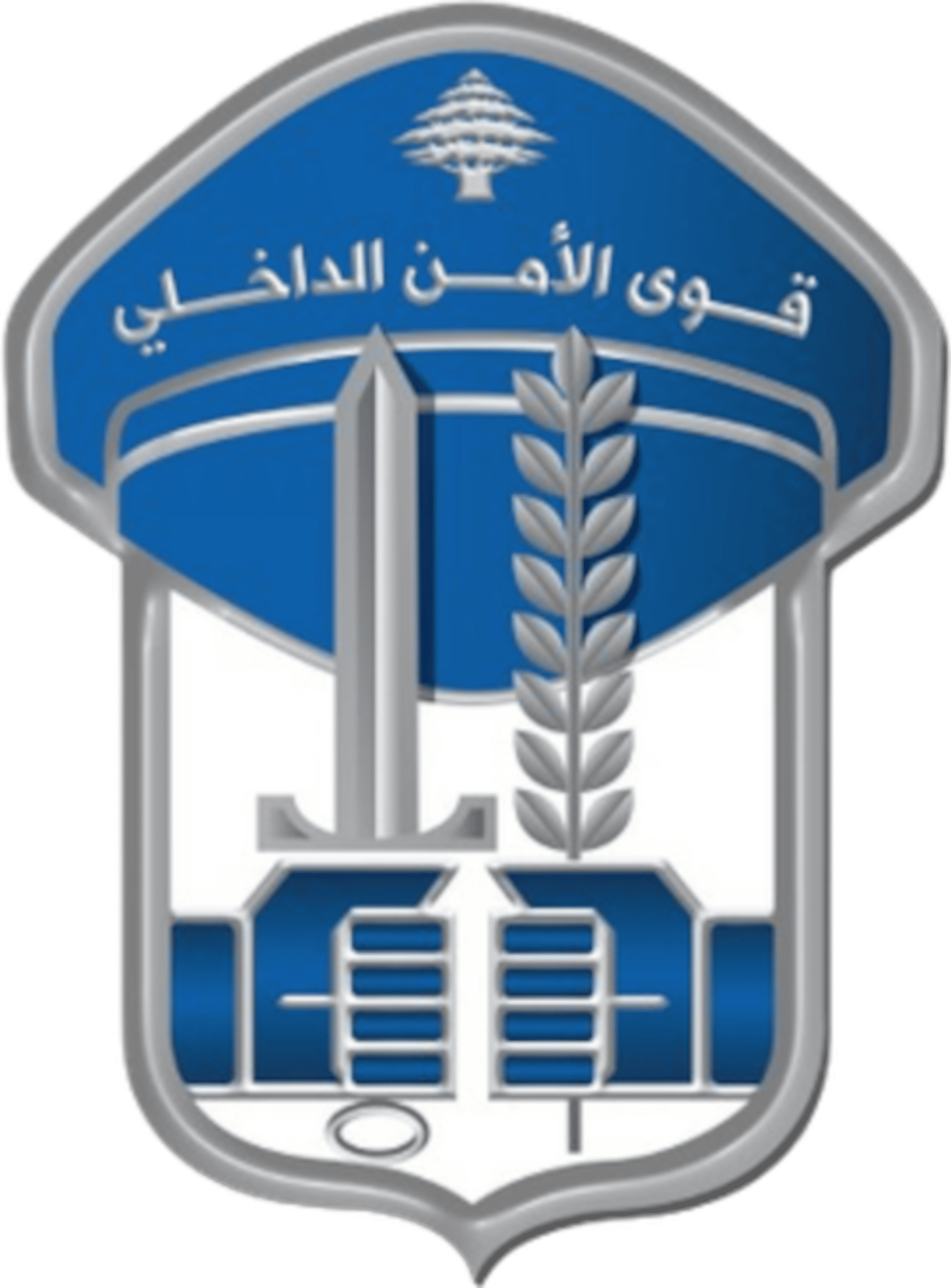 Hezbollah accuses Lebanese police of violating security coordination procedure after supporters reportedly obstruct raid